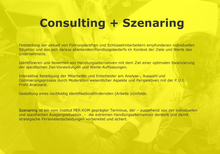 Consulting + Szenaring
